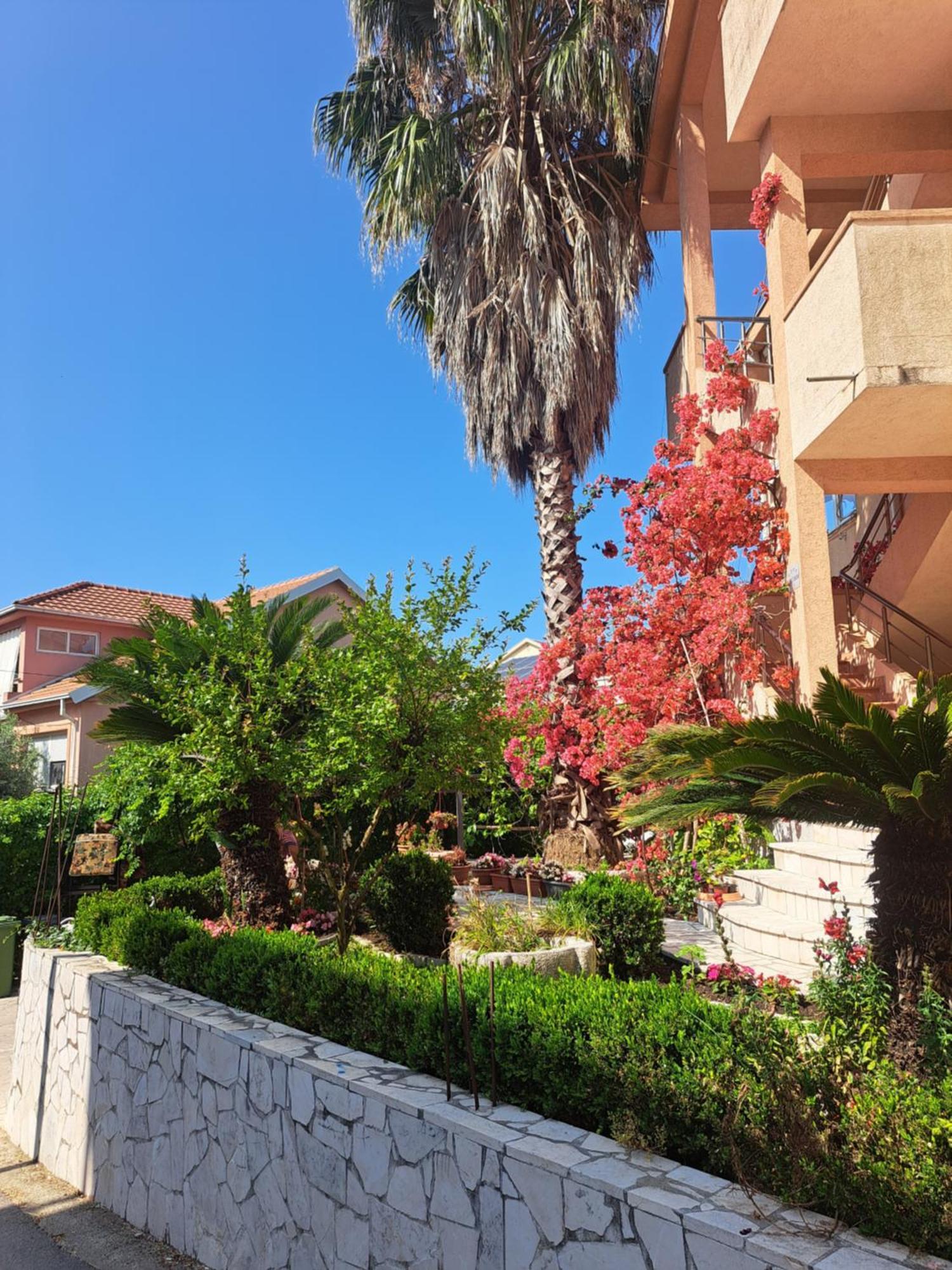 Tanja Apartment Tivat